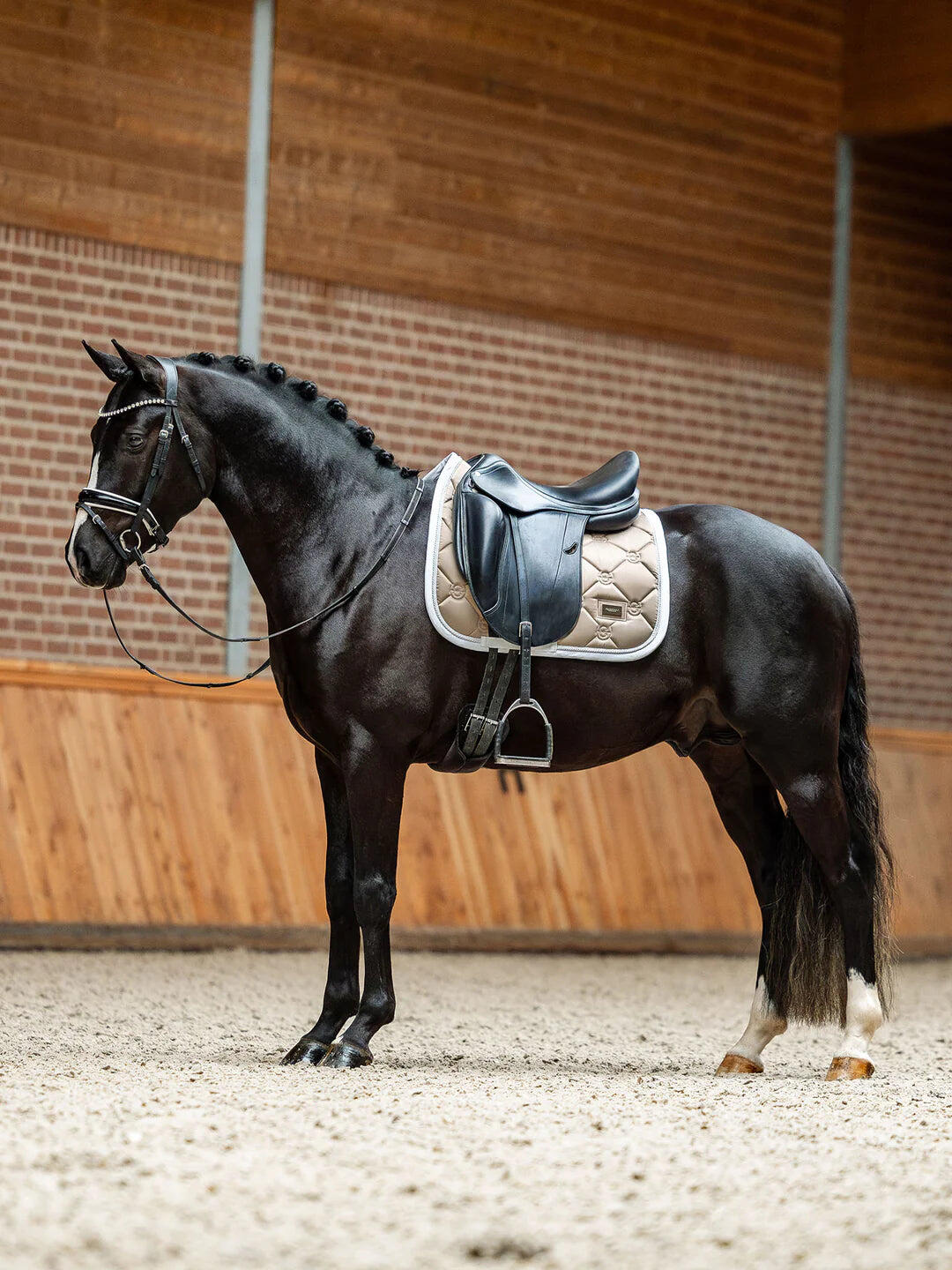Tapis de selle SAND Dressage- Equestrian Stockholm 5/5
