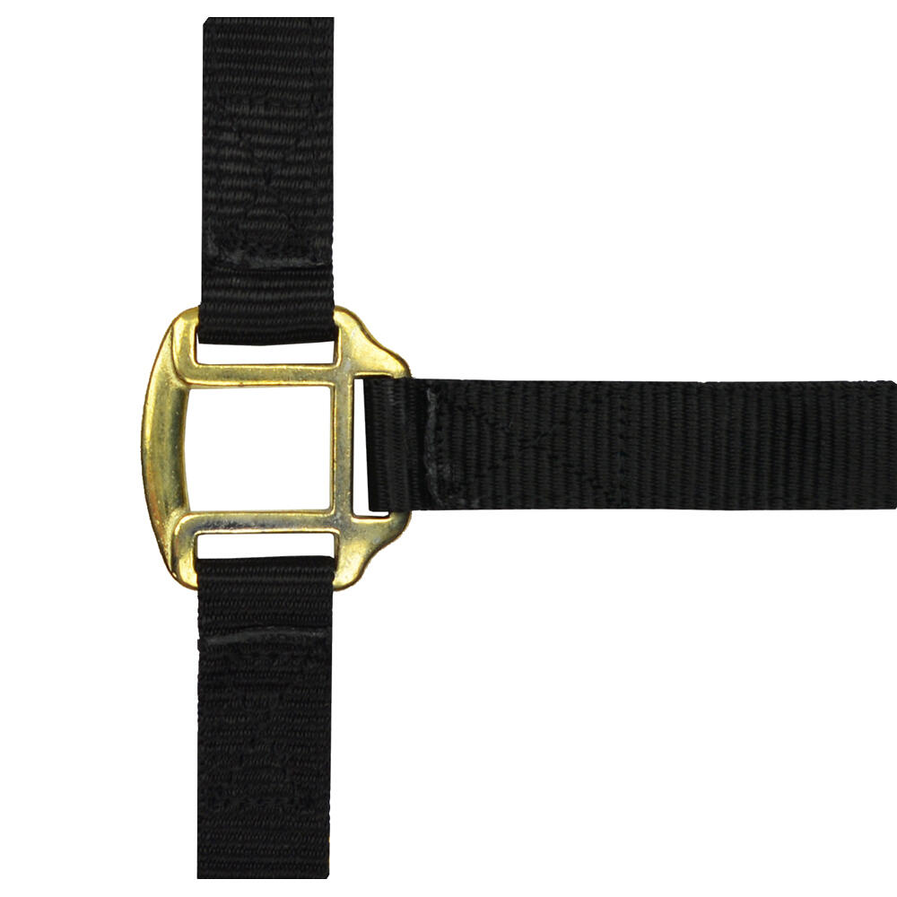 Licol nylon noir doublé cuir pour poney 1/2