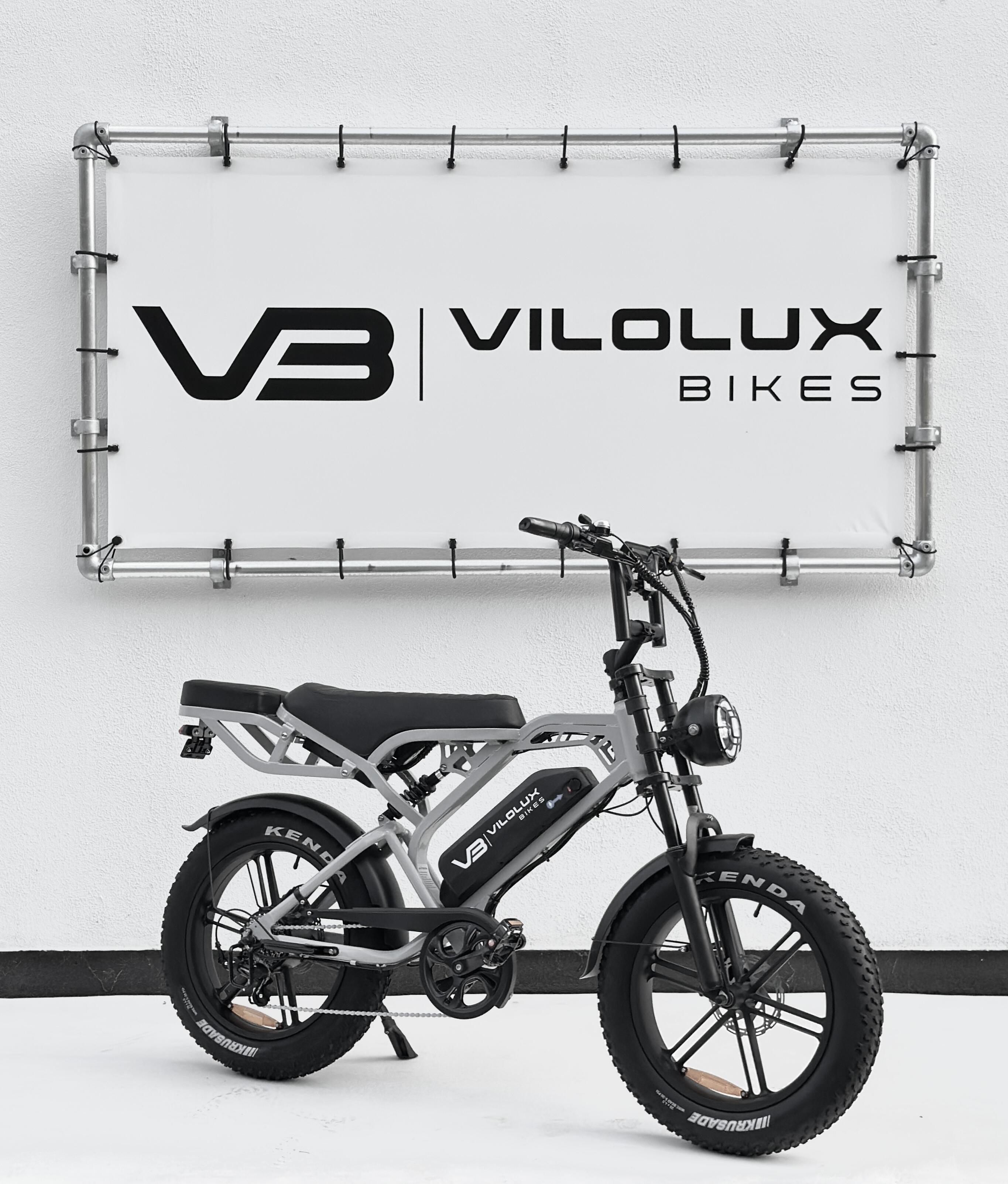 VILOLUX picture