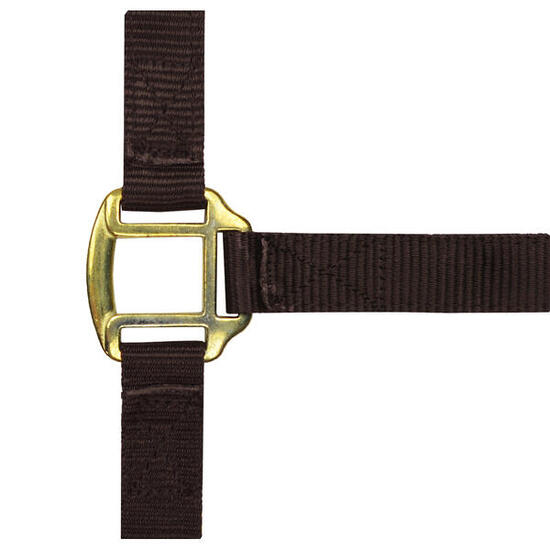 Licol nylon marron doublé cuir pour pur-sang