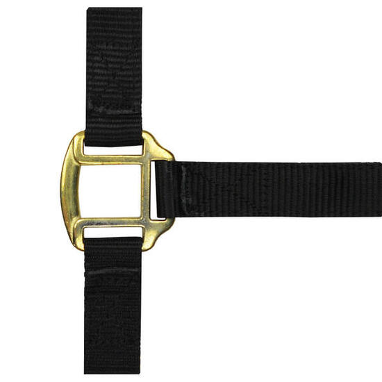 Licol nylon noir doublé cuir pour cheval de trait