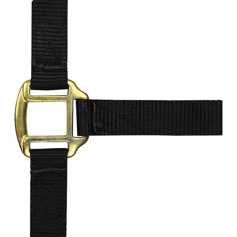 Licol nylon noir doublé cuir pour cheval 1/2