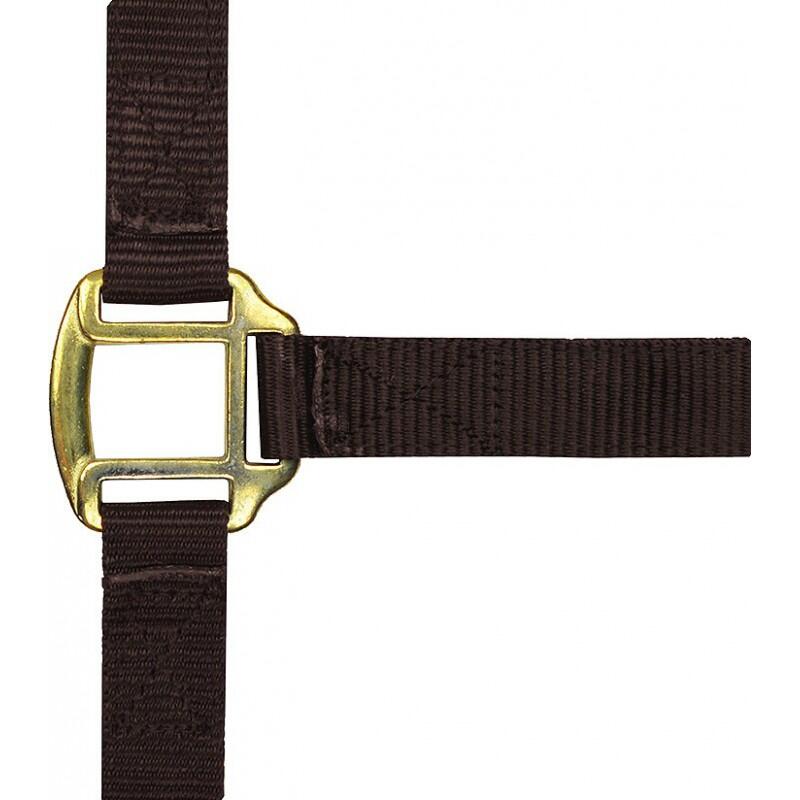 Licol nylon marron doublé cuir pour cheval 1/2