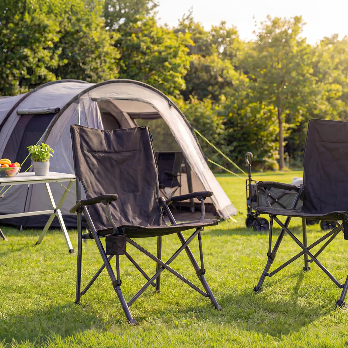 Campingstoelen - opvouwbaar - 120kg draagvermogen - inclusief draagtas - grijs 4/6