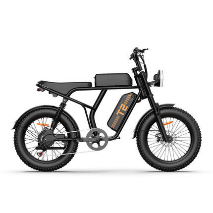 Vélo électrique VTT 250W 48V 15,6Ah – Tout-terrain 20” avec suspension