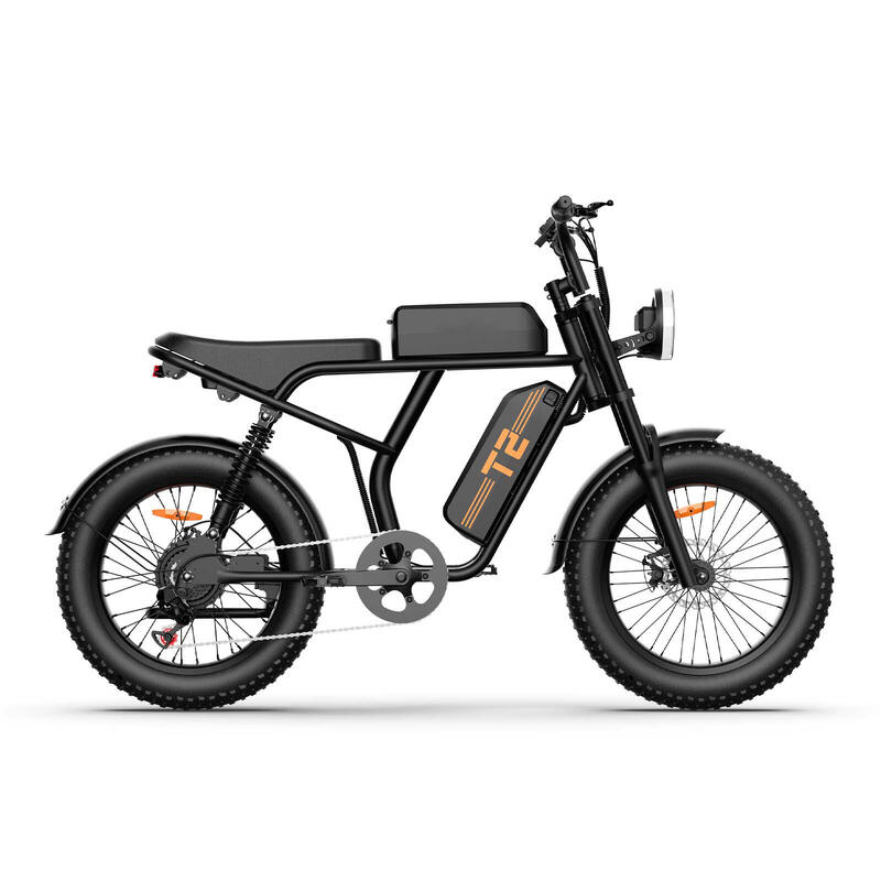 Bicicletă electrică URLIFE T2, motor 250W, baterie 48V 15.6Ah