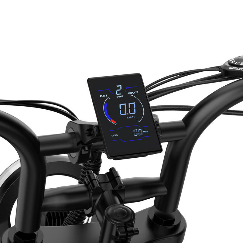 Bicicletă electrică URLIFE T2, motor 250W, baterie 48V 15.6Ah