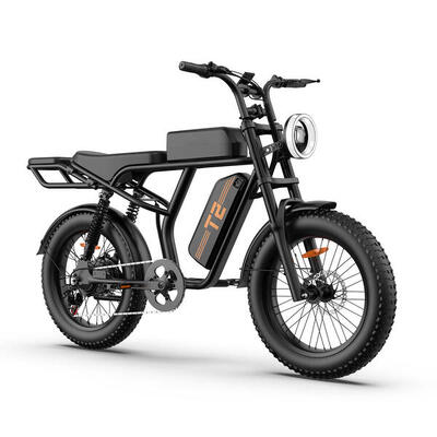 Urlife t2 elektrische fiets met 250w motor en 48v 15,6ah accu