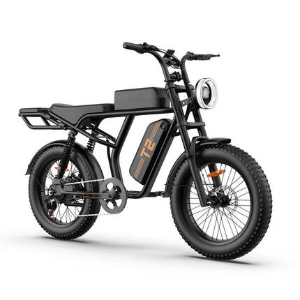 URLIFE T2 elektrische fiets met 250W motor en 48V 15,6Ah accu