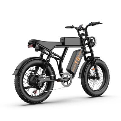 Bicicletta Elettrica Full Suspension URLIFE T2 con Batteria da 48 V 156 Ah