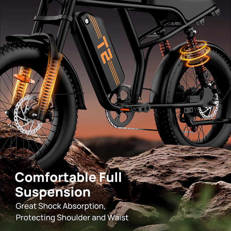 URLIFE T2 Elektrofahrrad mit 250-W-Motor und 48-V-Akku (15,6 Ah) 6/7