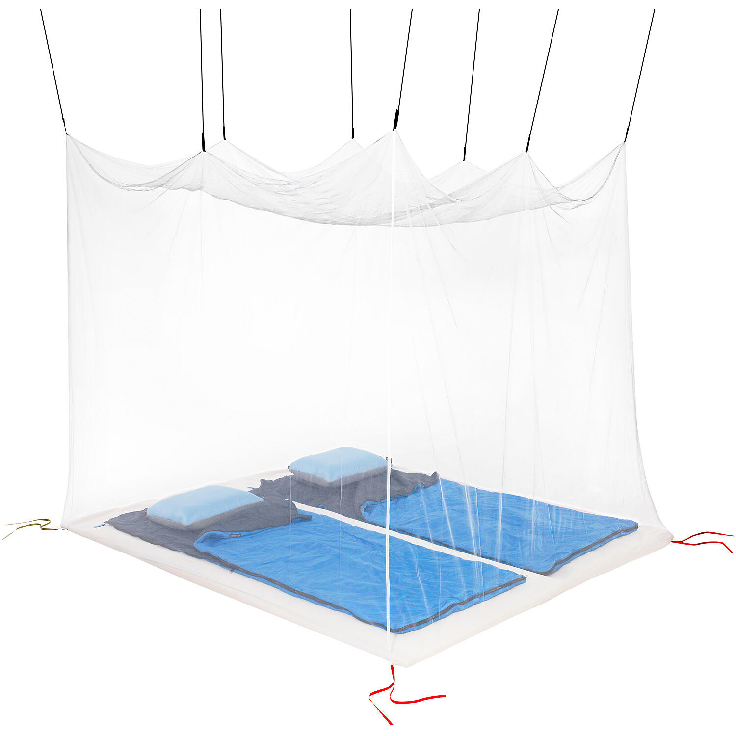 COCOON picture