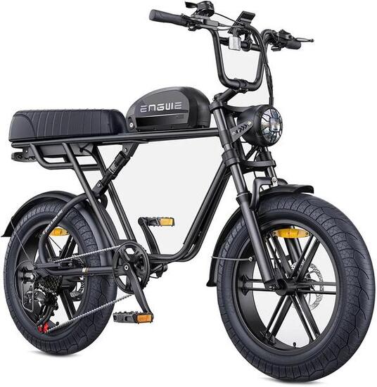 Vélo électrique ENGWE M1 250W pneus gras, batterie 48V 15.6AH, e-bike rétro