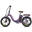 Bicicletă electrică FAFREES F20+ Pro pentru adulți, baterie 36V 25Ah