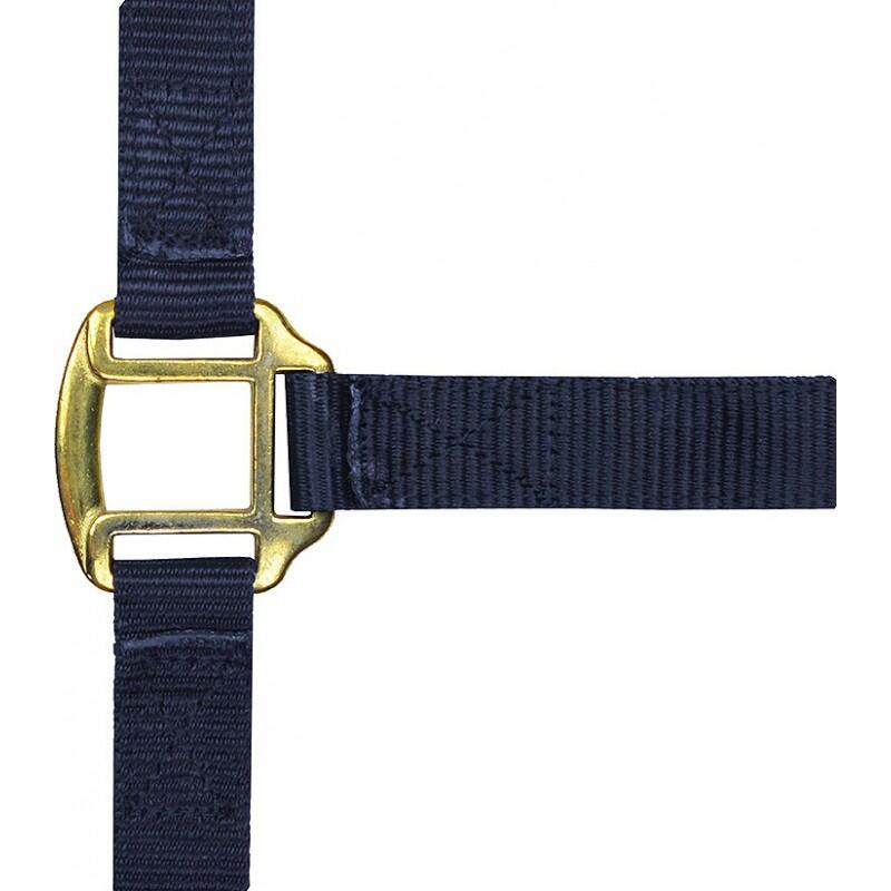 Licol nylon marine doublé cuir pour pur-sang 2/2