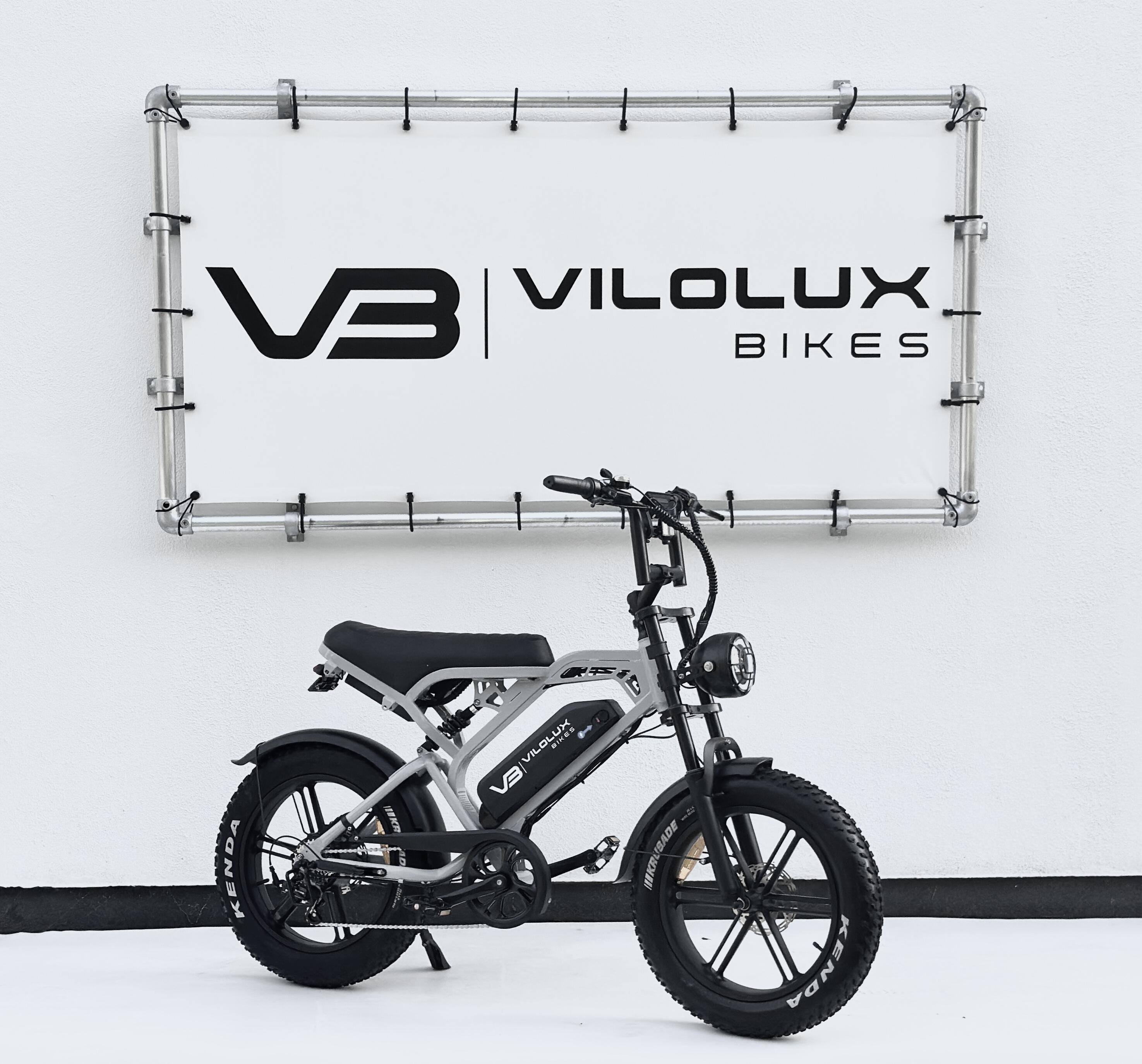 VILOLUX picture
