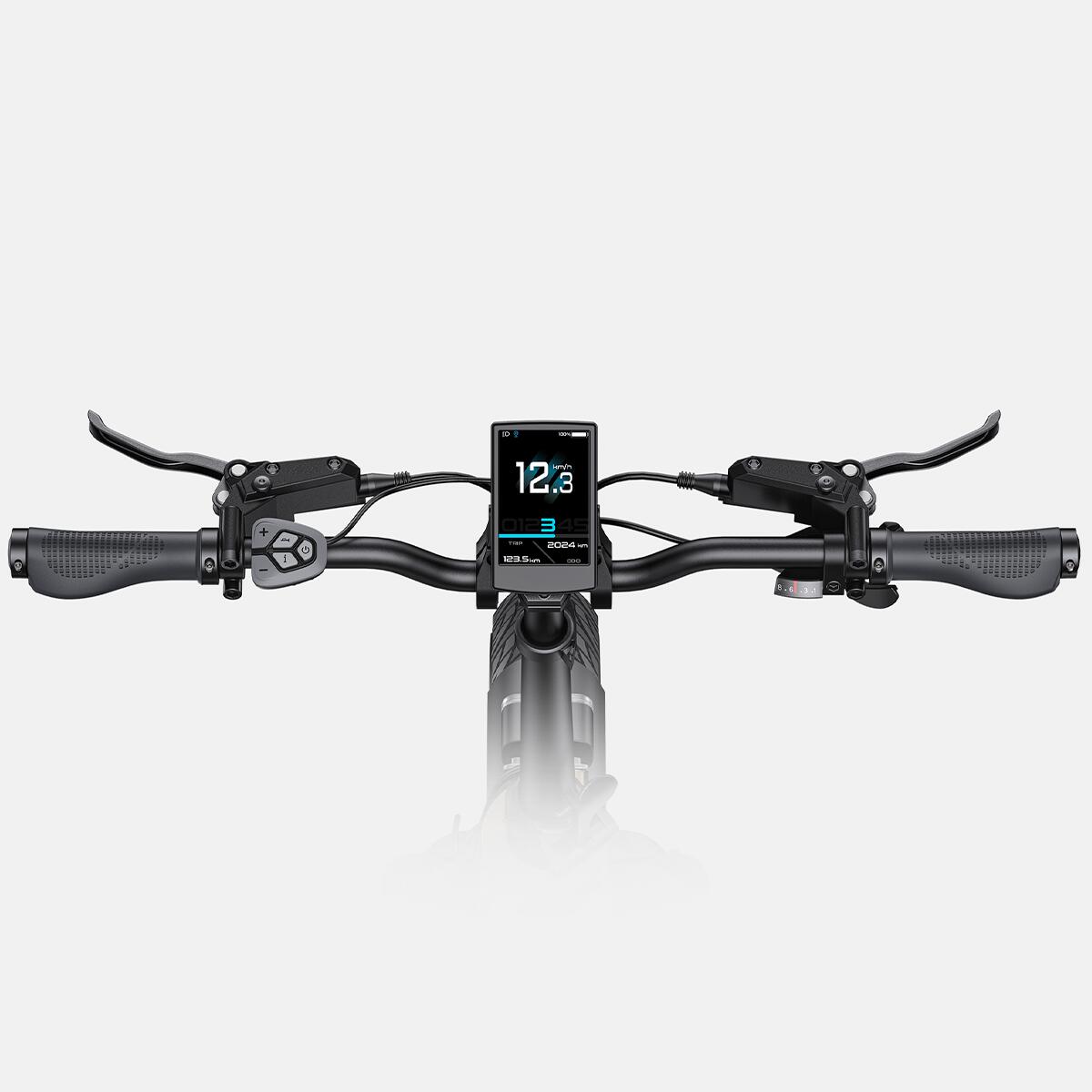 Bicicleta eléctrica compacta ENGWE L20 3.0 Pro, par motor de 100 Nm 6/7