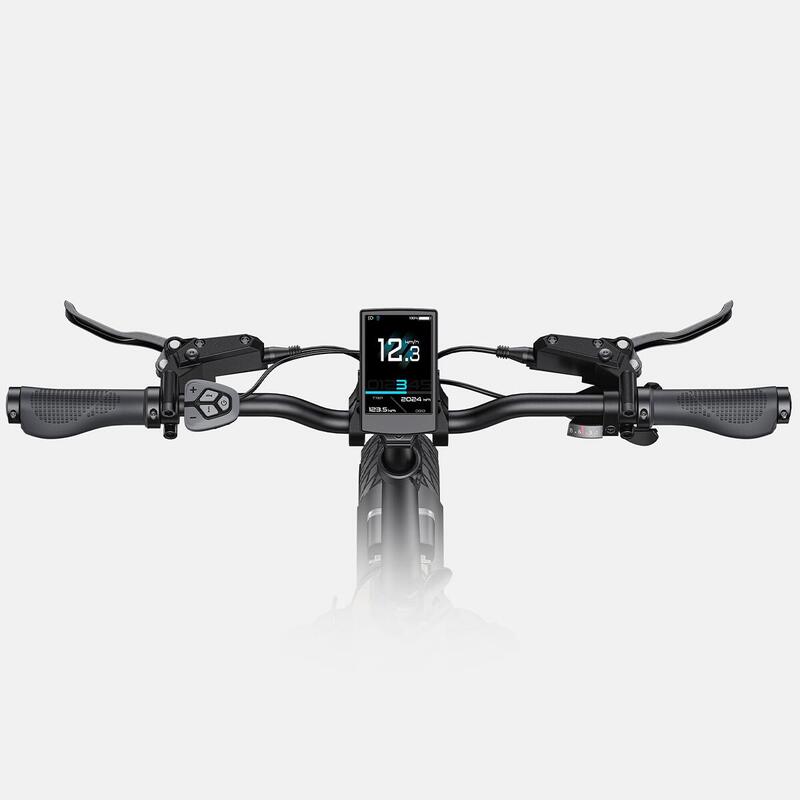 Bicicletă electrică ENGWE L20 3.0 Pro cu motor central de 100 Nm