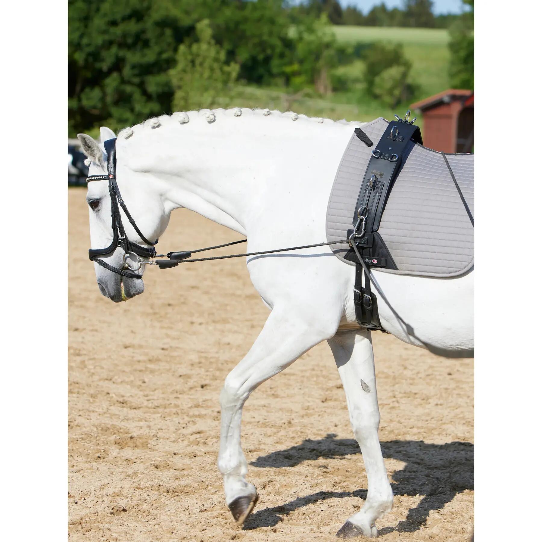 Sursangle Kieffer Flexifit Secu Pro 7/7