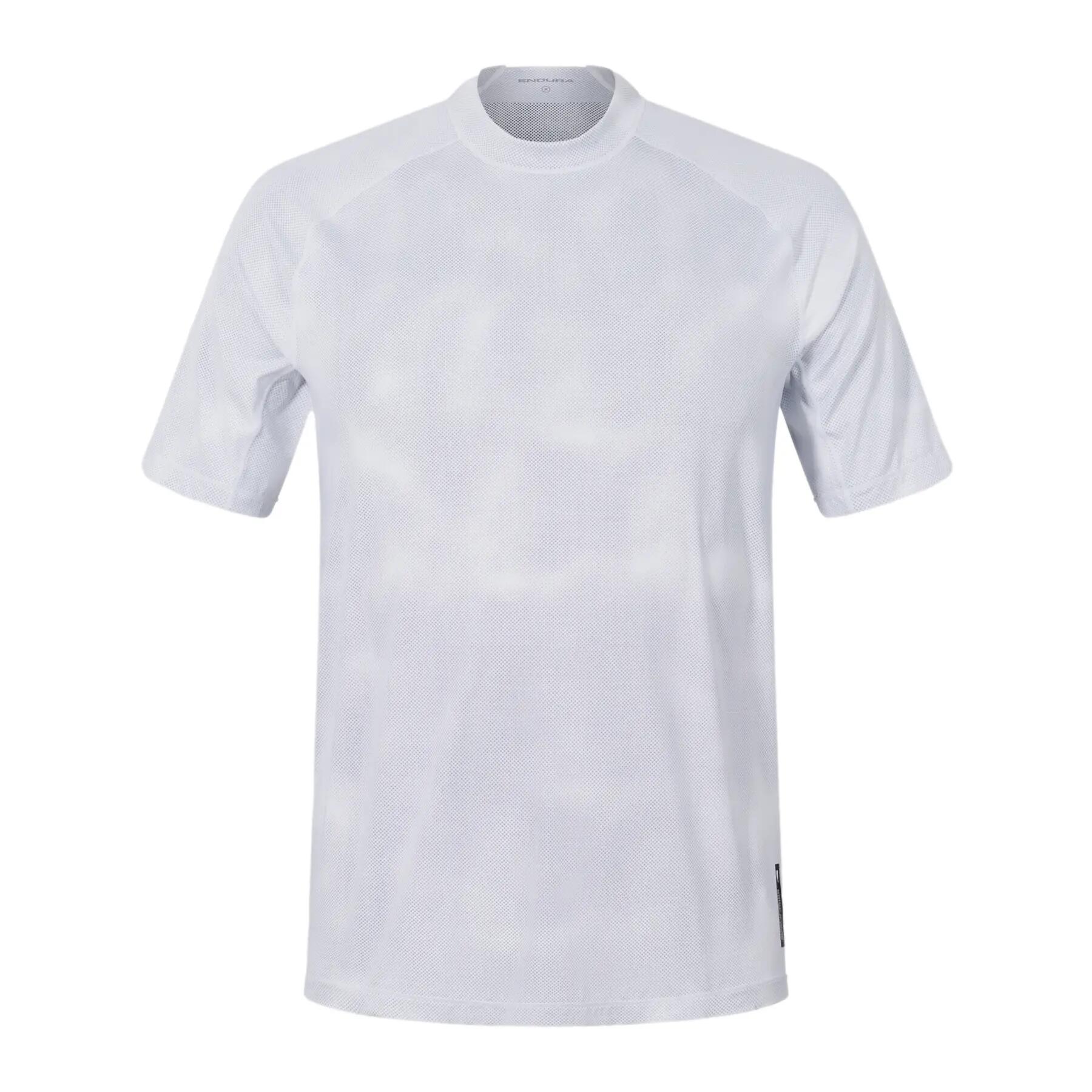 ENDURA picture