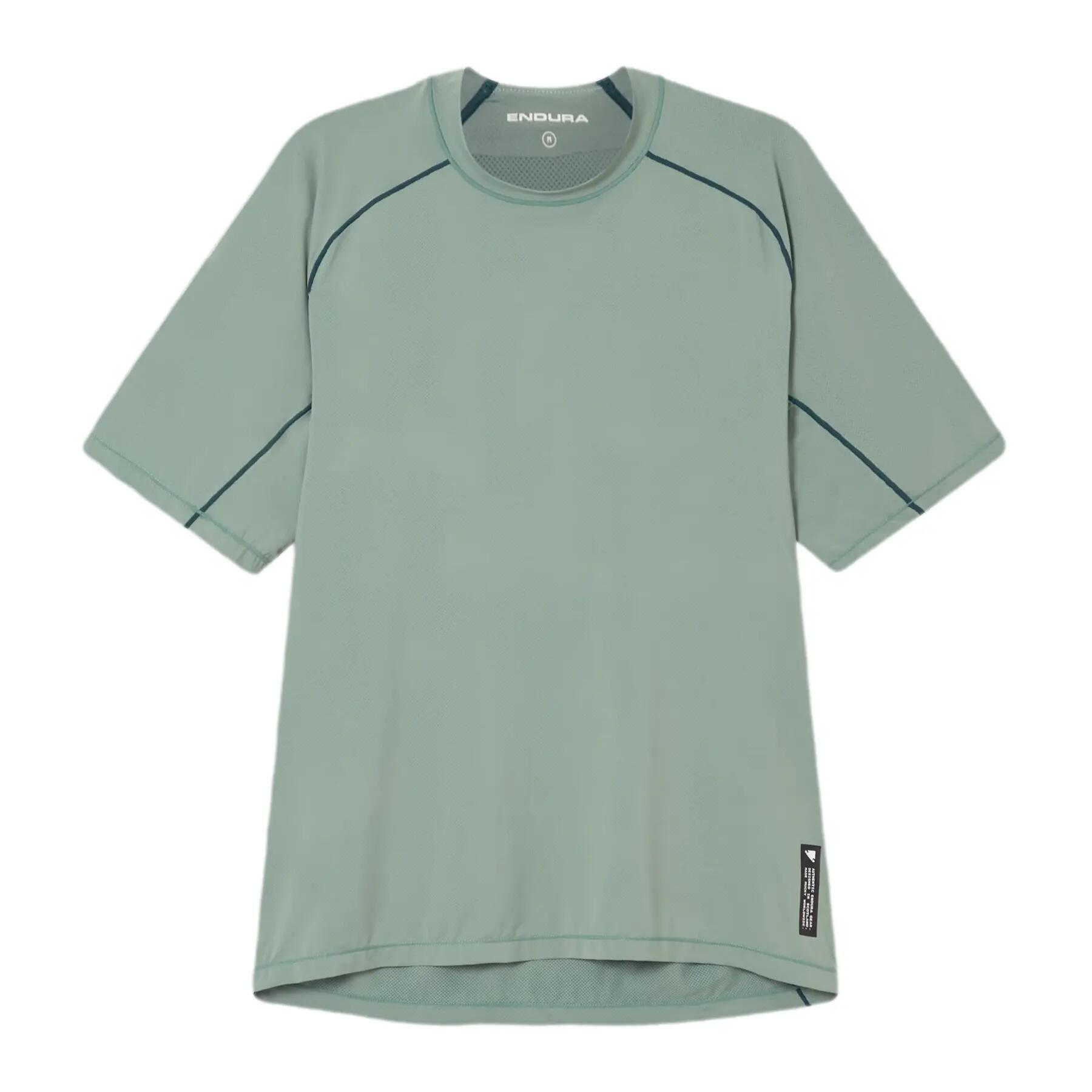 vert / gris vert / vert clair