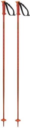 Salomon Polar Bâton Ski