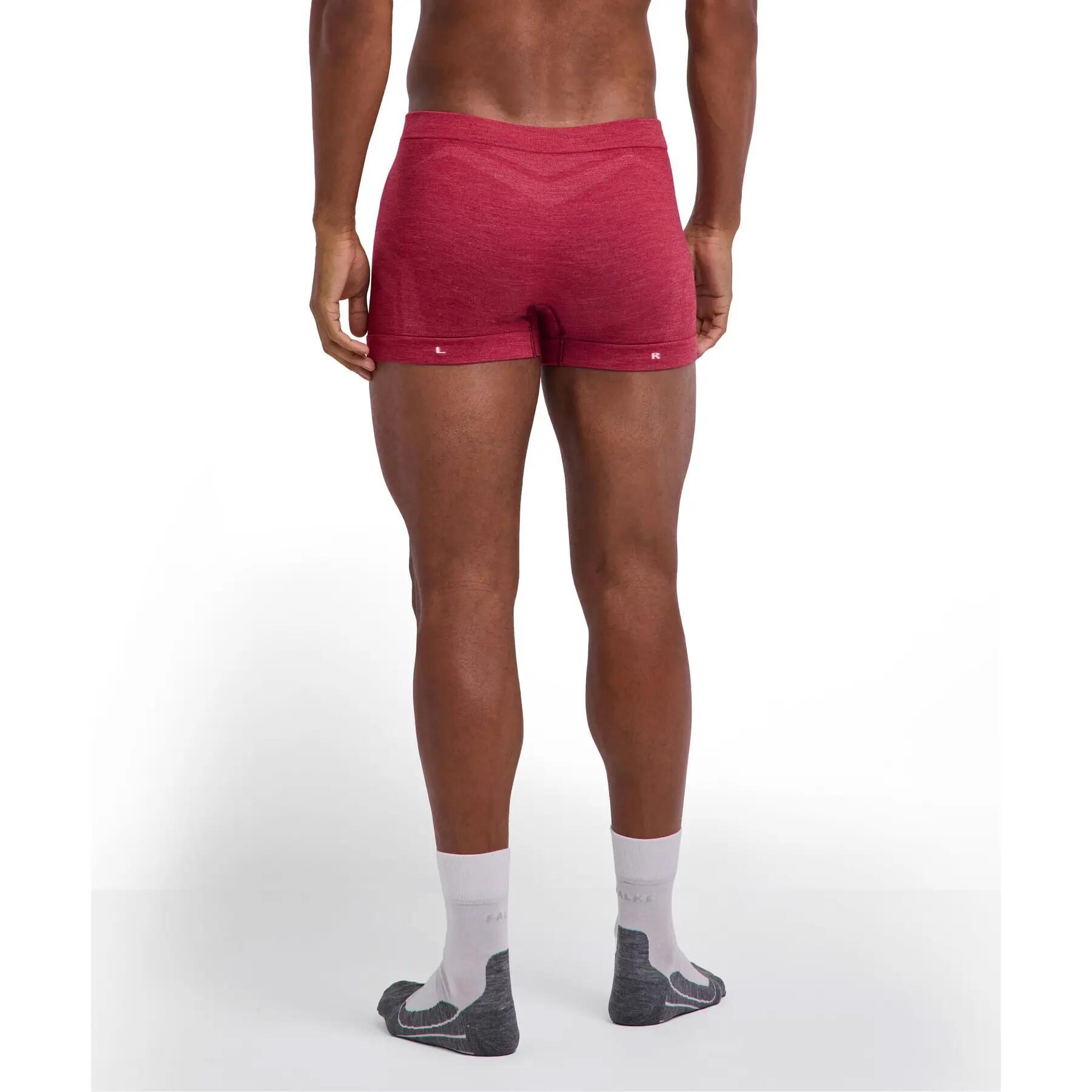 Boxer Falke Wool-Tech Light 4/6