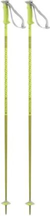 Salomon Polar Bâton Ski