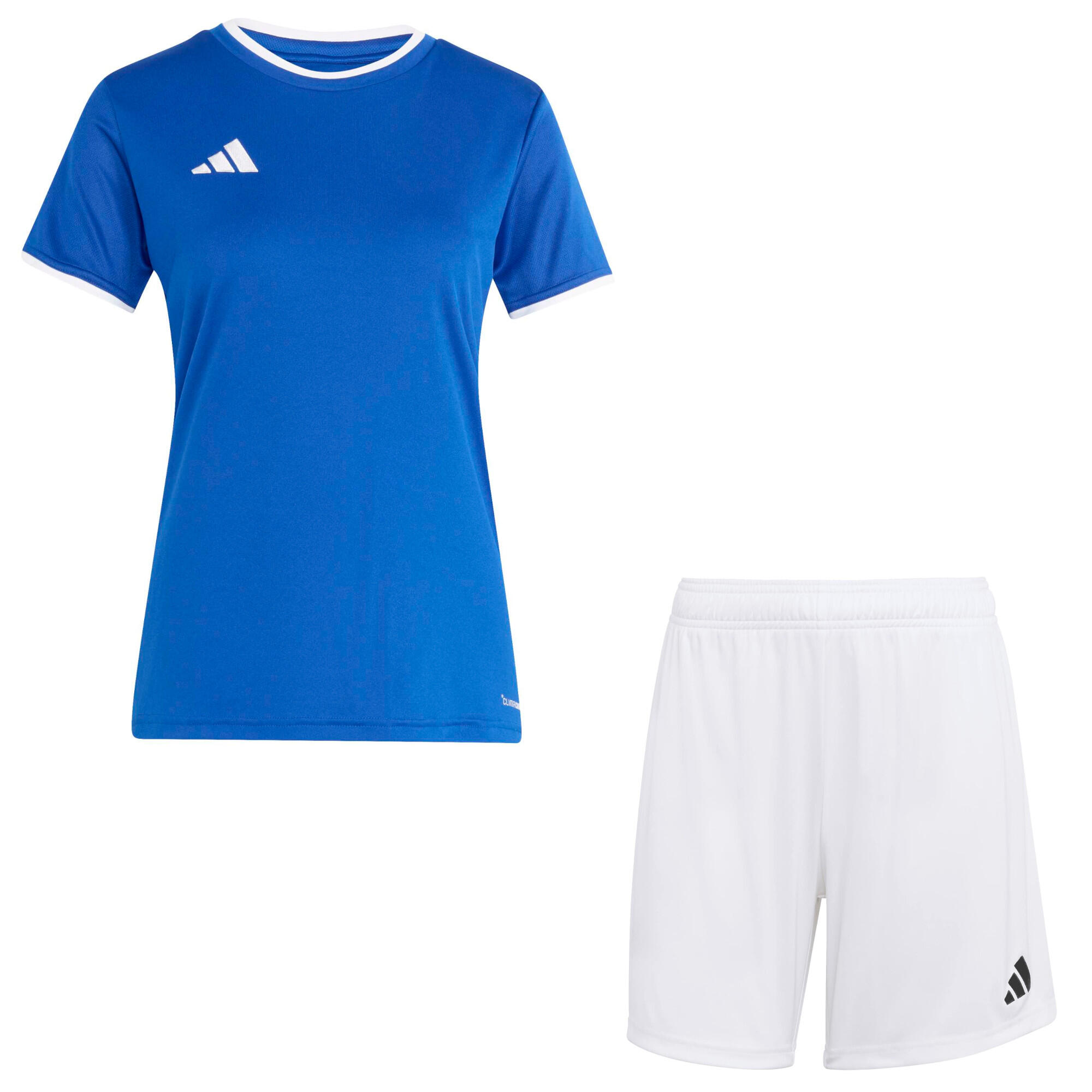 ADIDAS picture