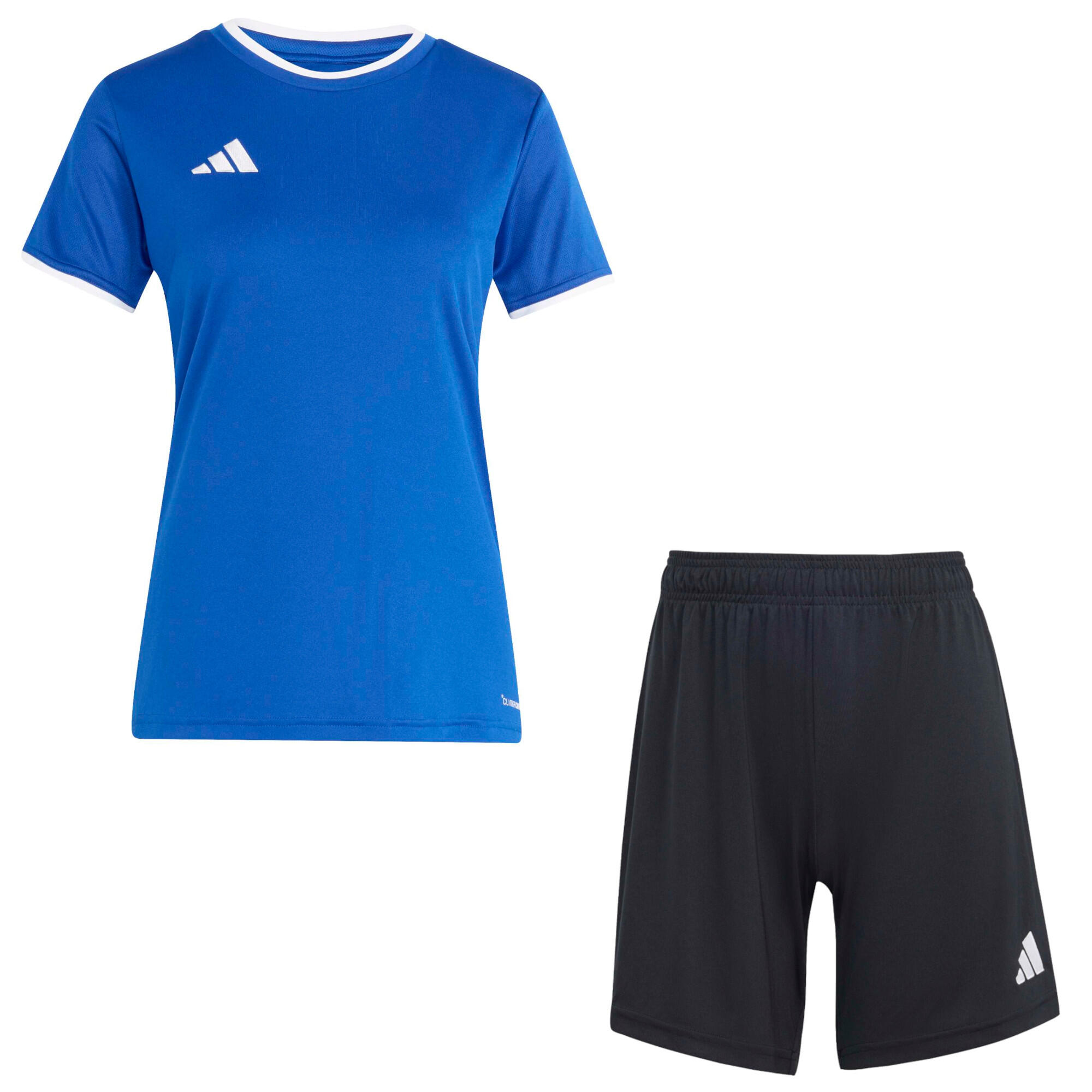 ADIDAS picture