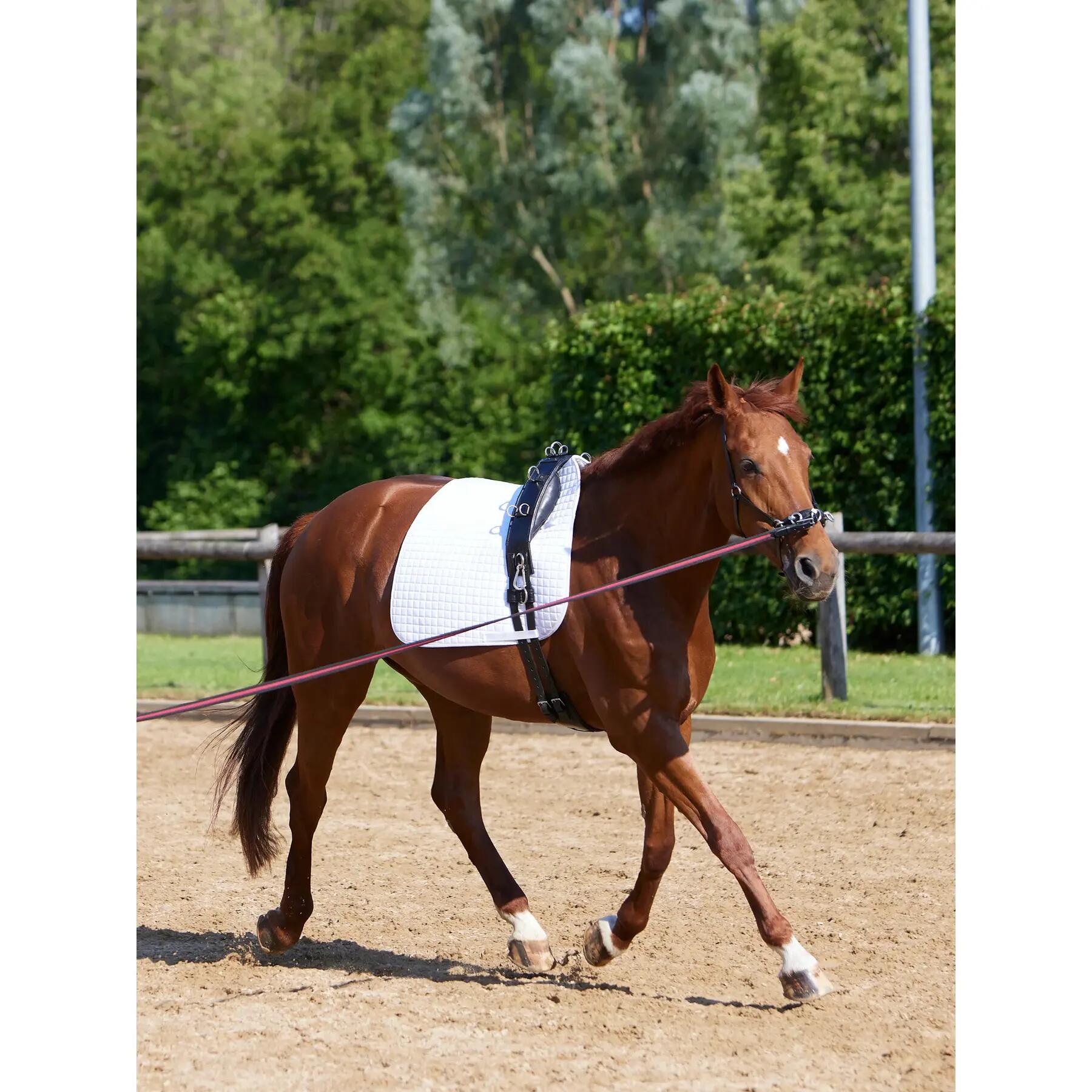 Sursangle Kieffer Equishape Pro 7/7