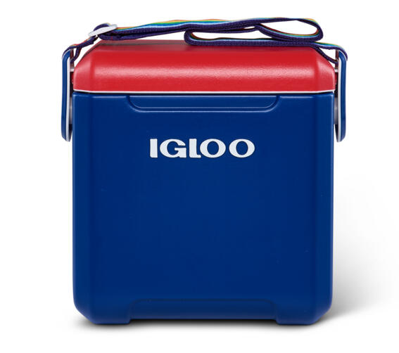 IGLOO picture