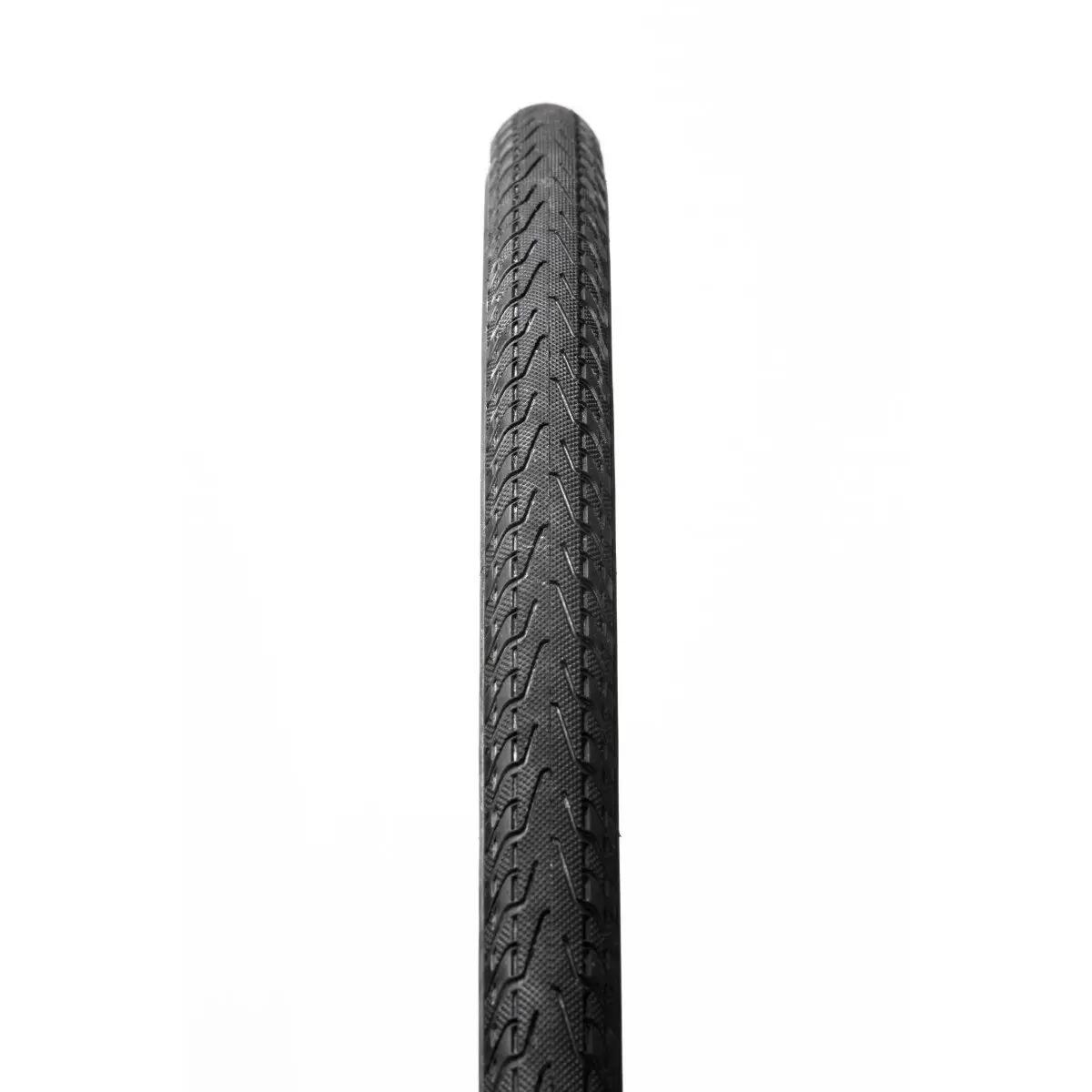 Neumático Panaracer Pasela Protite Wire 2/3