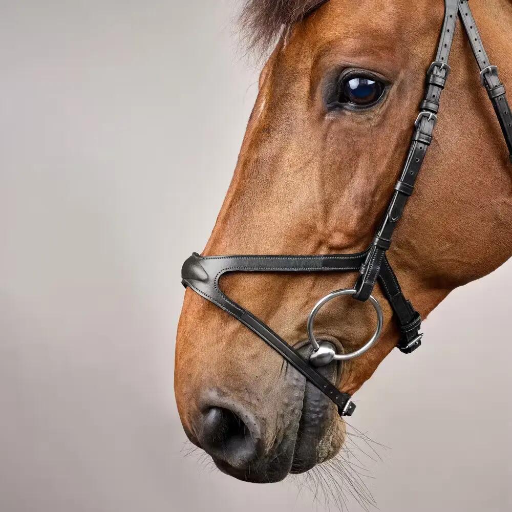 Zaumzeug Reiten Dy'on X-Fit New English Collection 3/4