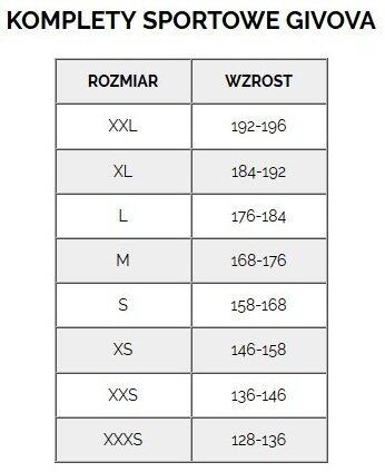 Dres treningowy męski bluza spodnie Givova Cipro