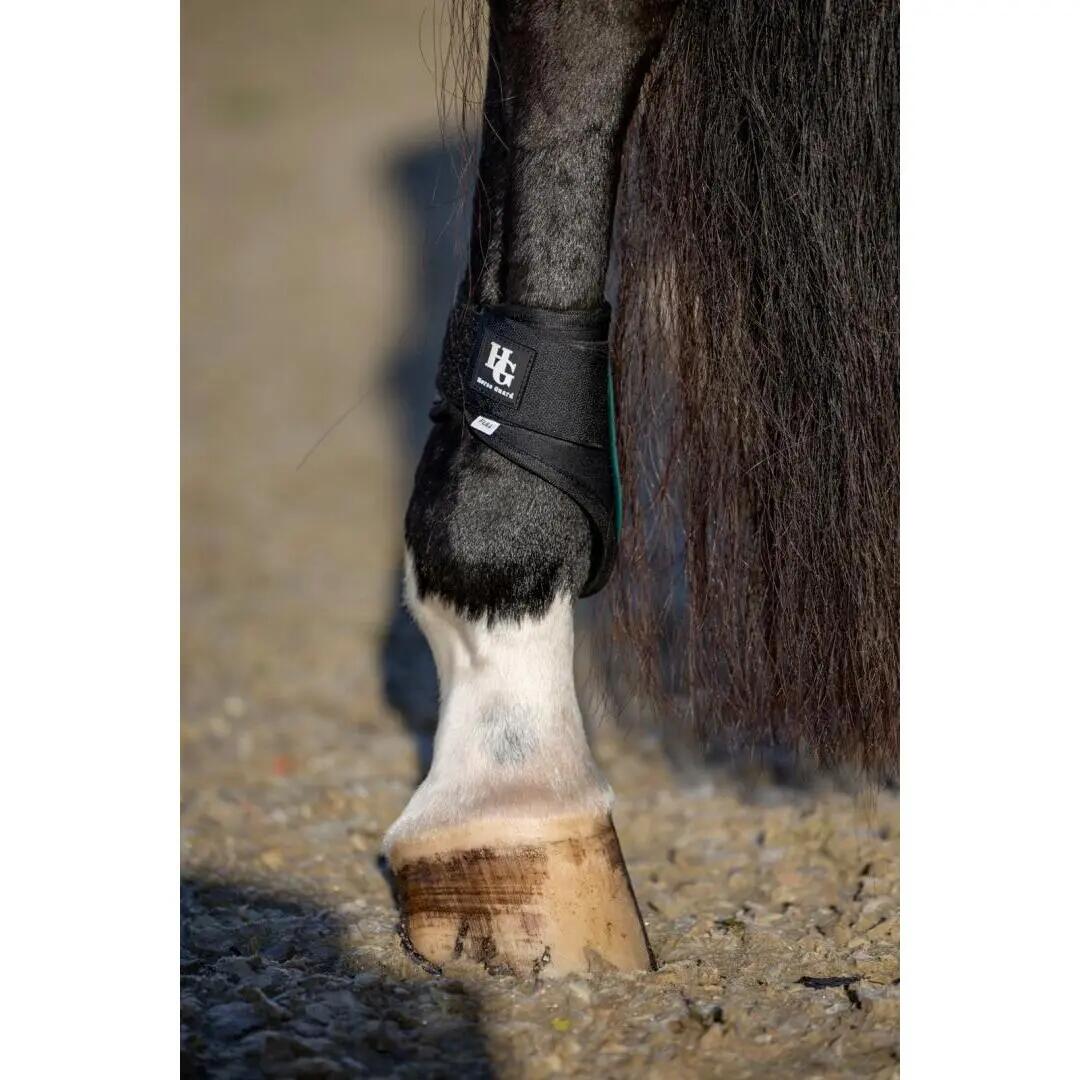 HORSE GUARD picture