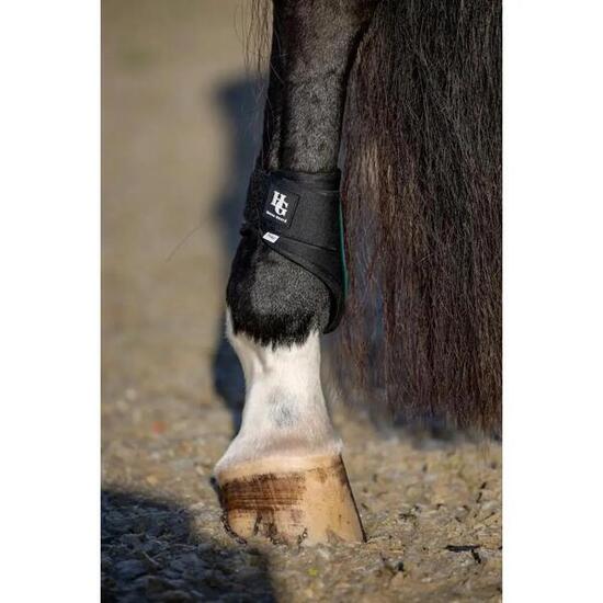 Protège-boulets pour cheval pour poney HorseGuard Tary Bagbens