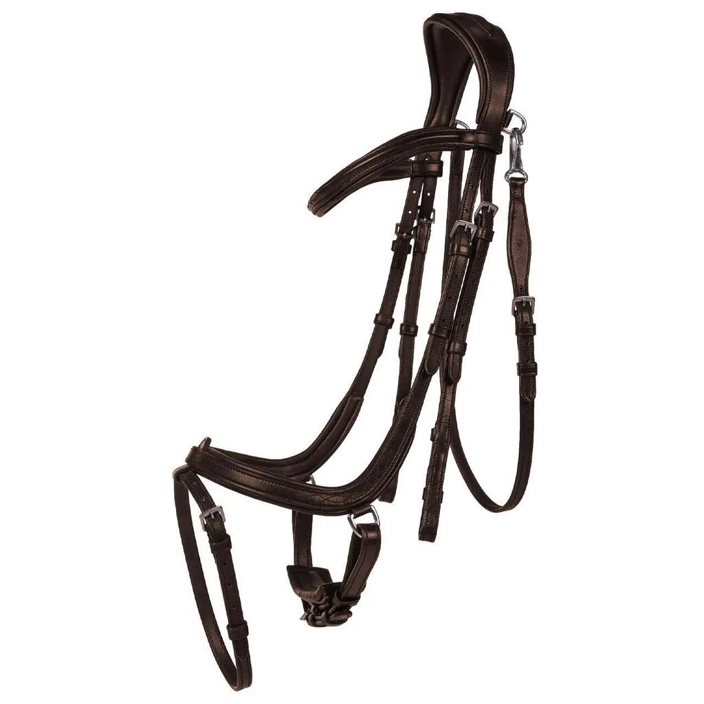 Riding bridle QHP Salerno