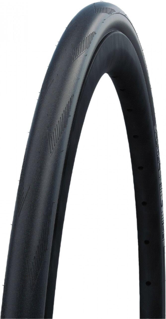 SCHWALBE picture