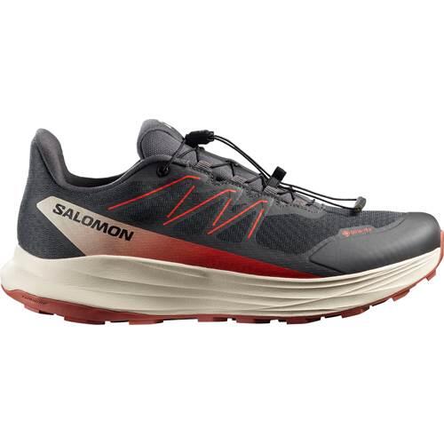 SALOMON picture
