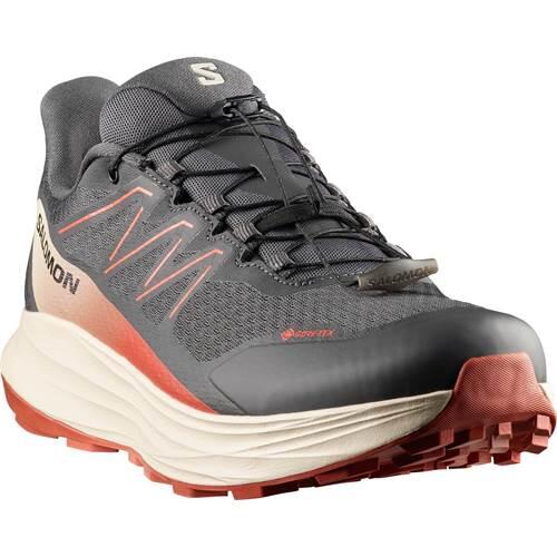 Buty do biegania męskie Salomon Alpharide 2 GTX 5/5