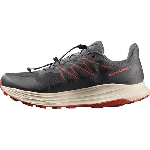Buty do biegania męskie Salomon Alpharide 2 GTX 4/5