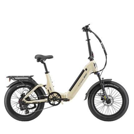 Elektrische stadsfiets voor volwassenen TTGO F7 250W motor 70N·m
