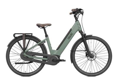 Qwic elan daily dames elektrische fiets - 28 inch, 625 wh, shimano nexus, groen