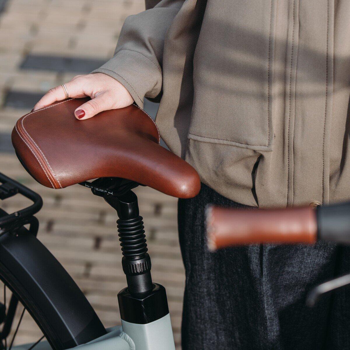 Qwic Elan Daily | Nieuw | 2 jaar garantie | 28 inch | 625Wh, Shimano Nexus, gr 7/7