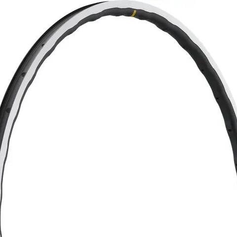 Skate wheel Mavic Open Pro Ust Rb 700