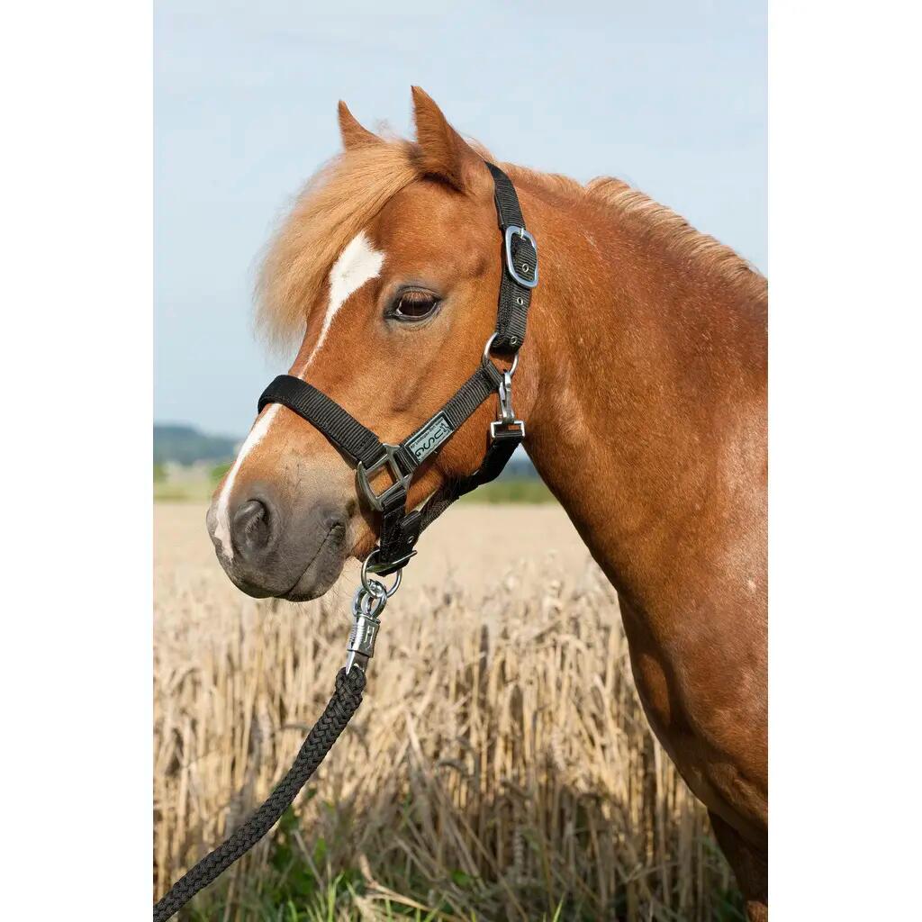 Cabresto de cavalo almofadado USG Everyday 2/2