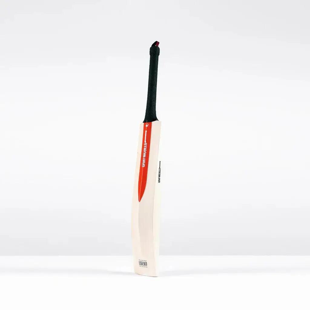 Cricketschläger Kind Gray-Nicolls Silver Edition 6/7