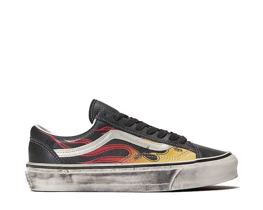 VANS picture
