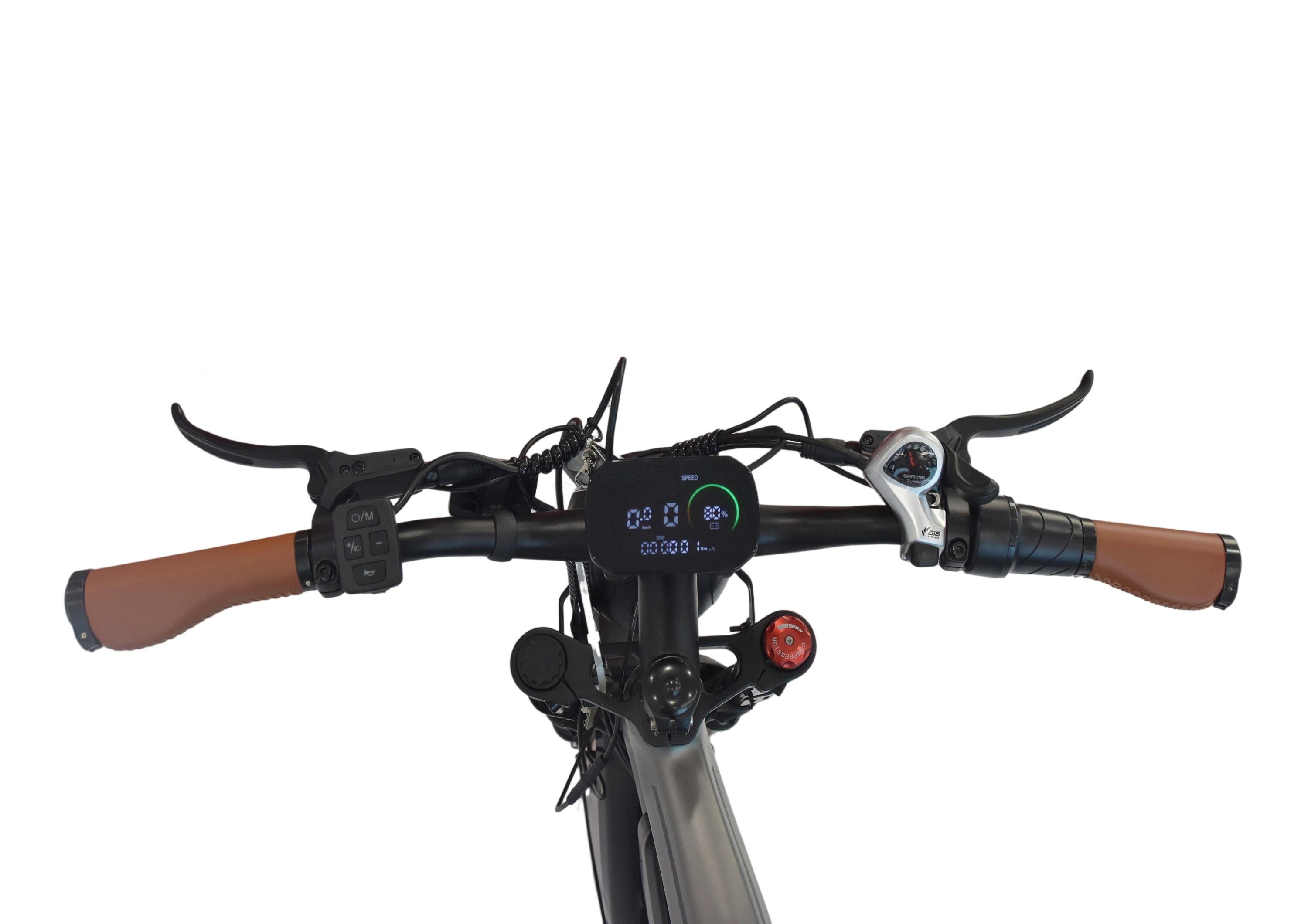 DYU M20 Elektrofahrrad für Erwachsene, Breitreifen, hydraulische Bremsen, Shiman 4/7